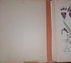 E. G. Camus - Iconographie des orchidées - 1921