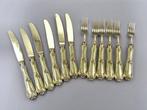 Solingen - Bestekset (12) - Verguld - Vintage, Antiek en Kunst