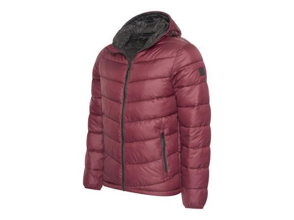 Veiling - Cappuccino Italia Hooded Puffer Jacket Burgundy -, Kleding | Heren, Jassen | Winter