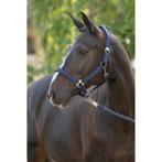 Licol doria, navy, poney  - kerbl