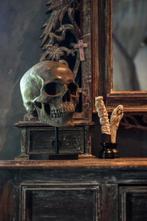 Beeld, NO RESERVE PRICE - Stunning human skull statue on a