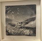 Doug and Mike Starn - Attracted to Light 32, Antiek en Kunst