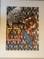 Peter Phillips - Lioness