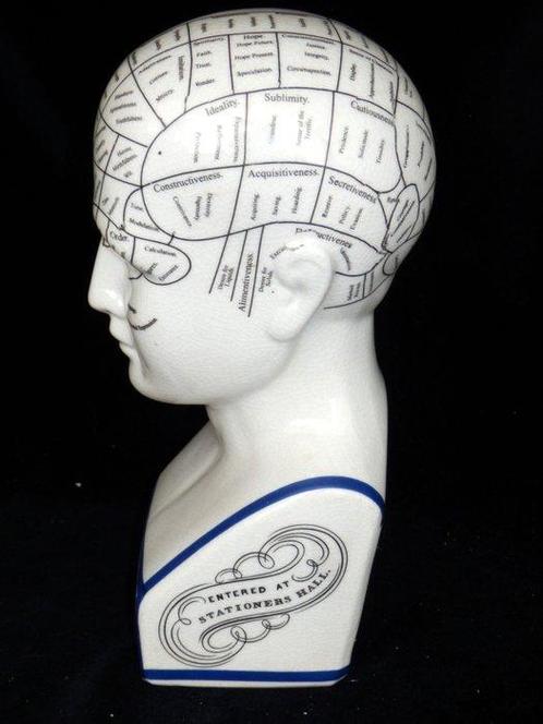 Parure de tête - Model Phrenology Hoofd - Dr. L.N.Fowler, Antiek en Kunst, Kunst | Designobjecten