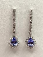 Hangoorbellen - 18 karaat Witgoud - 2.50ct. tw. Tanzaniet -