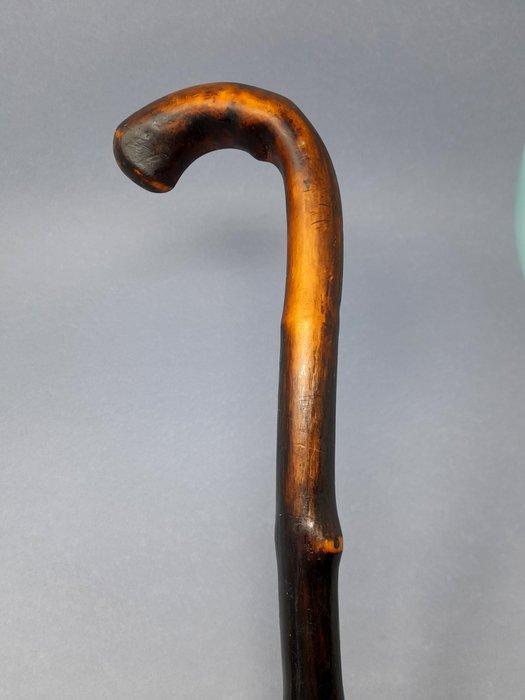 Wandelstok - Hazel - Met de hand gemaakt, Antiek en Kunst, Curiosa en Brocante