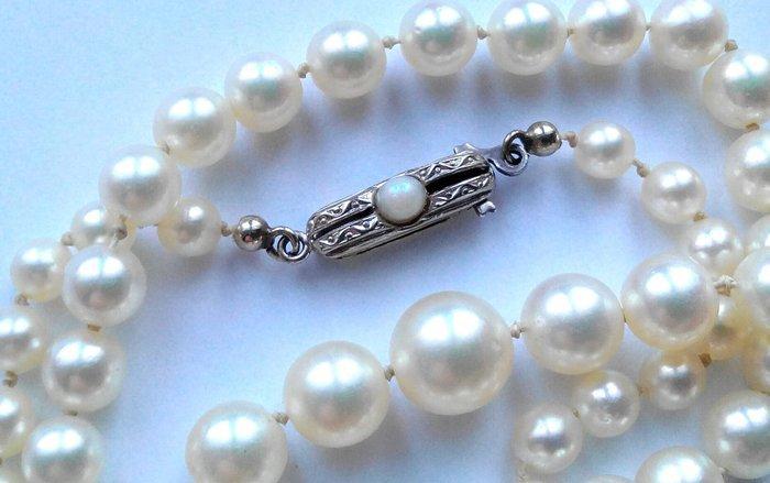 Zonder minimumprijs - Halsketting 14 kt witte goud -, Handtassen en Accessoires, Kettingen