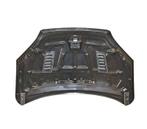 CAPOT FORD FOCUS AVEC PRISE DAIR LOOK RS 05-07 CARBONE, Verzenden, Nieuw