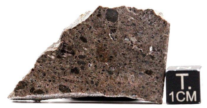 Tisserlitine 001 meteoriet Maan-feldspathische regolithische, Verzamelen, Mineralen en Fossielen