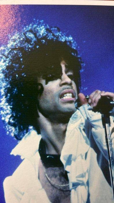 Govert de Roos - Prince Purple Rain tour, Antiek en Kunst, Kunst | Schilderijen | Modern
