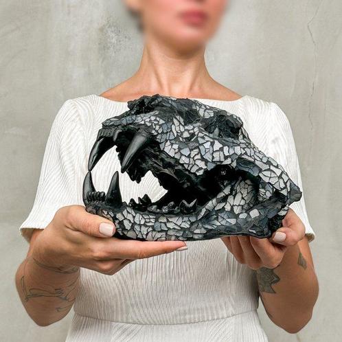 PAS DE PRIX DE RÉSERVE - Superbe crâne de tigre avec, Antiek en Kunst, Kunst | Designobjecten