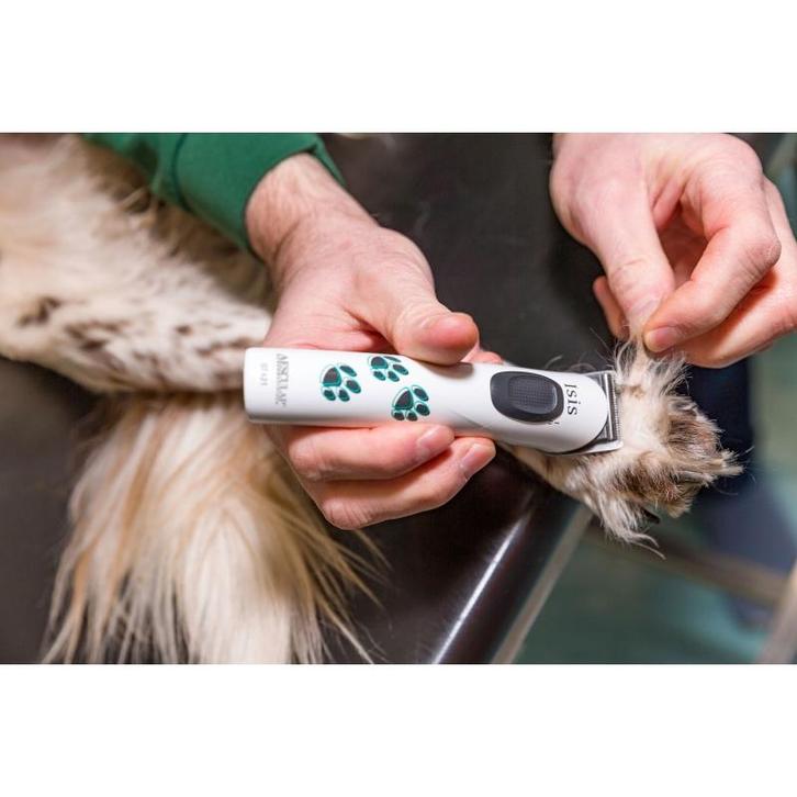 Tondeuse aesculap isis blanc, gt608, 1 batterie - kerbl, Dieren en Toebehoren, Honden-accessoires