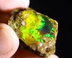 MUSEUMKWALITEIT - Ruwe Kristal Welo-opaal Natuurkracht -