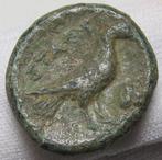 Lucania, Laos. AE17 circa 350 B.C. - rare cointype - crow, Timbres & Monnaies