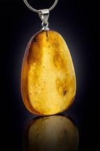 Barnsteen - High Clarity Baltic Amber – Double DIPTERA Fly