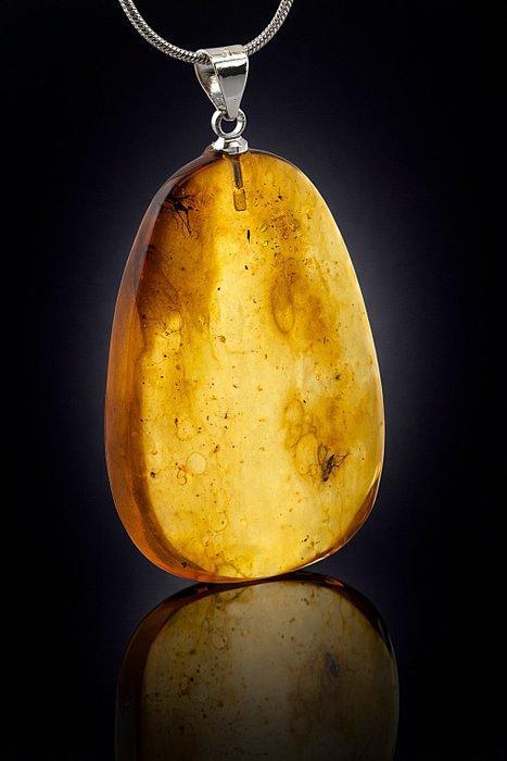 Barnsteen - High Clarity Baltic Amber – Double DIPTERA Fly, Verzamelen, Mineralen en Fossielen