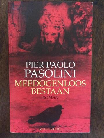 Meedogenloos bestaan 9789029022309 Pier Paolo Pasolini, Verzenden, Pier Paolo Pasolini
