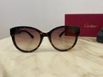 Cartier - CT0438SA - Lunettes de soleil, Nieuw