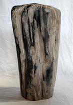 Versteend hout - Gefossiliseerd hout - diptocarpus - 48 cm -
