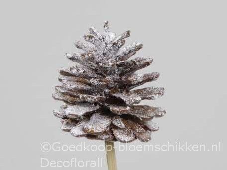 Dennenappels op draad grootverpakking naturel snow doos ca., Huis en Inrichting, Woonaccessoires | Kunstplanten en Kunstbloemen