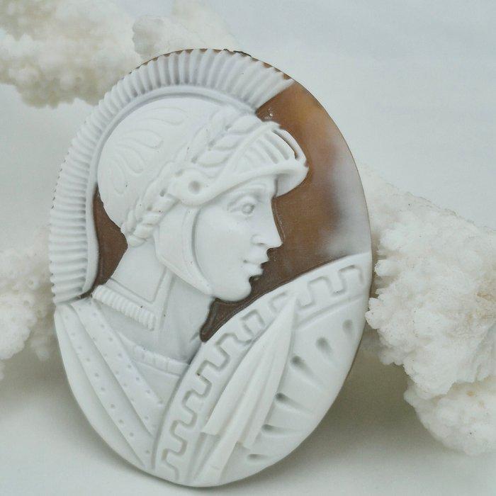 KASSIS MADAGASCARIANUS - Cameo - CAMMEO ANTICO, Antiek en Kunst, Curiosa en Brocante