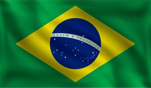 Vlag Brazilie 150cm, Hobby & Loisirs créatifs, Articles de fête, Envoi