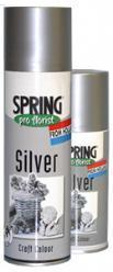 Spring Pro florist  Zilver Spray 150cc Zilverspray, Nieuw