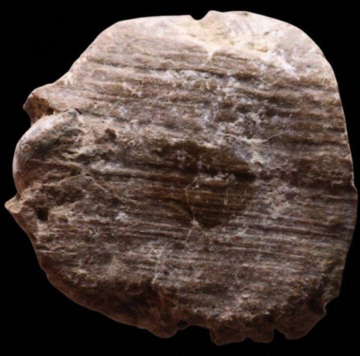 Oud-Romeins Aardewerk Tessera (Zonder minimumprijs), Verzamelen, Mineralen en Fossielen