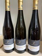 2023 Schäfer-Fröhlich, Halenberg rühlingsplätzchen Felseneck, Nieuw