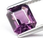 Zonder Minimumprijs Spinel - 1.54 ct - Antwerp Laboratory, Nieuw