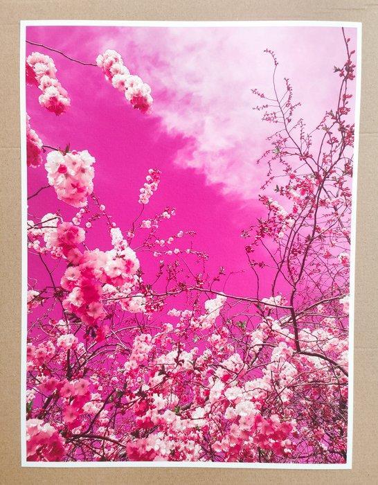 Viet Ha Tran - The colors of spring VII, Antiek en Kunst, Kunst | Designobjecten