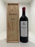 2016 Bodegas Hermanos Sastre Vina Sastre Pesus - Ribera, Verzamelen, Nieuw