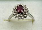 Ring - 18 karaat Witgoud Robijn - Diamant, Nieuw