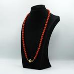 Collier - 14 carats Or jaune Corail rouge, Nieuw