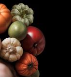 Tan Tolga Demirci - Bon Appétit! Agony Edition