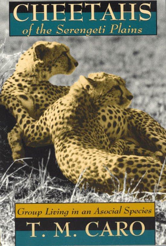 Cheetahs of the Serengeti Plains 9780226094342 Tim Caro, Livres, Langue | Anglais, Envoi
