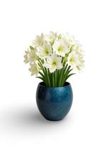 Stelton - Bernadotte & Kylberg - Vase - Stockholm -