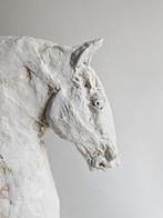 Raghad - Tête de Golem