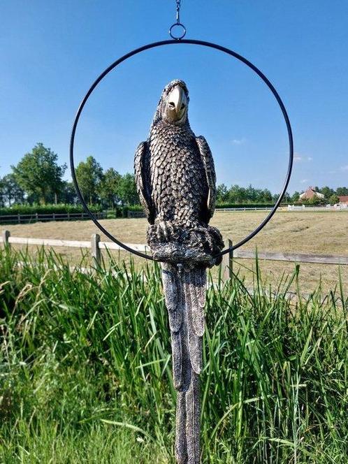Beeld, life size parrot in hoop gold bronze color - 68 cm -, Antiek en Kunst, Curiosa en Brocante