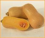 Butternut Victory F1 flespompoen 1000 zaden, Nieuw