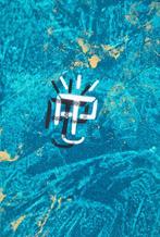 Alexandre Petrus (1988) - LE GORILLE