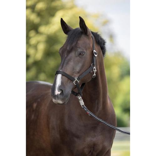 Nylonhalster hippo, maat 4 - zwart - kerbl, Dieren en Toebehoren, Paarden en Pony's | Overige Paardenspullen, Nieuw