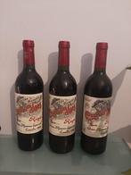 1989 Marqués de Murrieta, Castillo Ygay - Rioja Gran Reserva, Nieuw