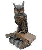 sculptuur, Wise owl on book - 52 cm - Brons, Antiek en Kunst
