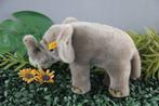 Steiff: Trampili, baby olifant, EAN 063411 - Figure (1) -, Antiquités & Art