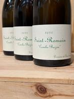 2022 Domaine de Chassorney - Saint-Romain Combe Bazin -, Verzamelen, Nieuw