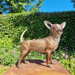 Beeldje - Chihuahua - hond - Brons, Antiek en Kunst