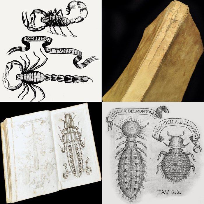Francesco Redi - Esperienze intorno alla generazione, Antiquités & Art, Antiquités | Livres & Manuscrits