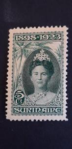 Suriname 1923 - Jubileumzegels - NVPH 104-110, Gestempeld
