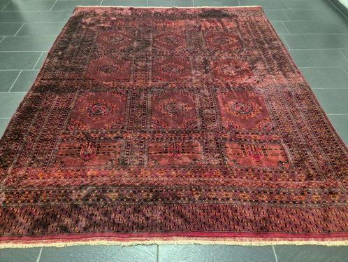 Buchara - Tapis - 286 cm - 250 cm, Antiek en Kunst, Curiosa en Brocante